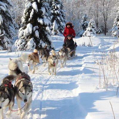 Finnland Levi Huskyschlitten iStock 502633552 thefreeze web 8954b6cd5e19f5879679e054bb8531c0