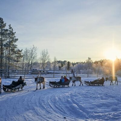 Finnland Levi Prima Reisen Rentierschlittenfahrt 1 web 1486abdec9e74f516bdaab0b7c52d099