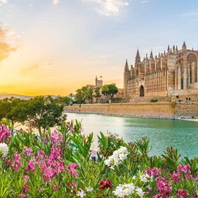 PMI ESP iStock 1083456786 Lau Seu web a5ea1335249e89057339e4b97e4aacb9